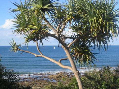 Headland Tropicana Resort - Accommodation Bookings 39