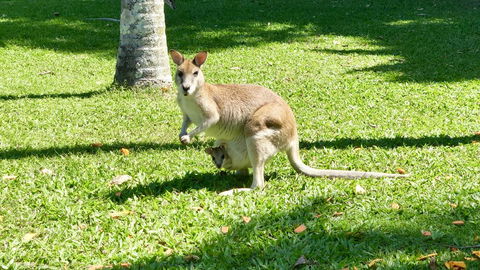 Argosy On The Beach - Accommodation Bookings 14