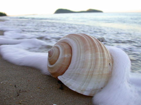 Argosy On The Beach - Accommodation Bookings 18