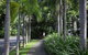 Oasis At Palm Cove - thumb 4
