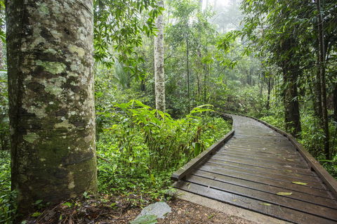 Riviera Mackay - Accommodation Bookings 25