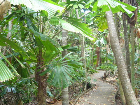 Port Douglas Retreat - Accommodation Bookings 18