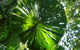 Port Douglas Retreat - thumb 19