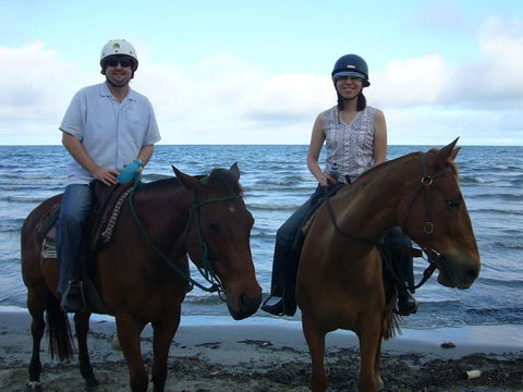 Port Douglas Retreat - Accommodation Bookings 20