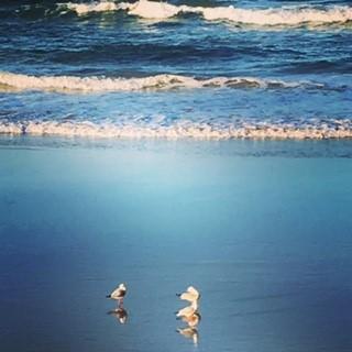 Oceania On Burleigh Beach - Accommodation Bookings 40
