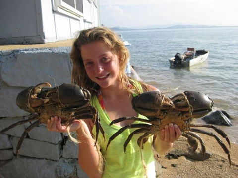 Blue On Cockle - Accommodation Bookings 6