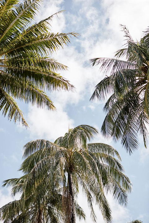 Novotel Cairns Oasis Resort - Accommodation Bookings 9