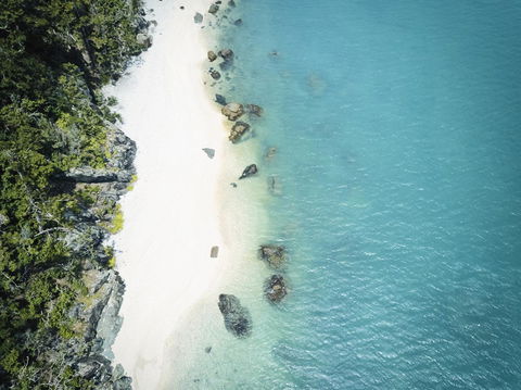 Daydream Island Resort - Accommodation Bookings 41