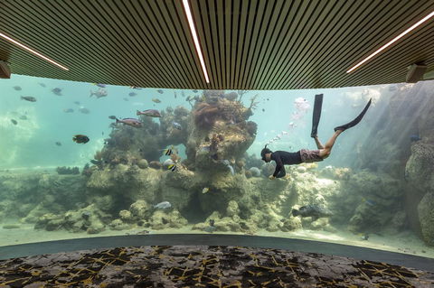 Daydream Island Resort - Accommodation Bookings 28