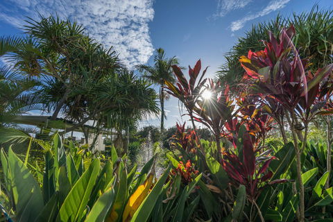 Currumbin Sands On The Beach - Accommodation Bookings 9