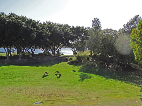 Waterfront Resort Villa With Buggy - Accommodation Bookings 32