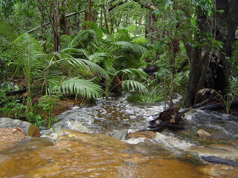 Forest Lodge: Little Villa - Accommodation Bookings 17