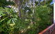 Freestyle Resort Port Douglas - thumb 6