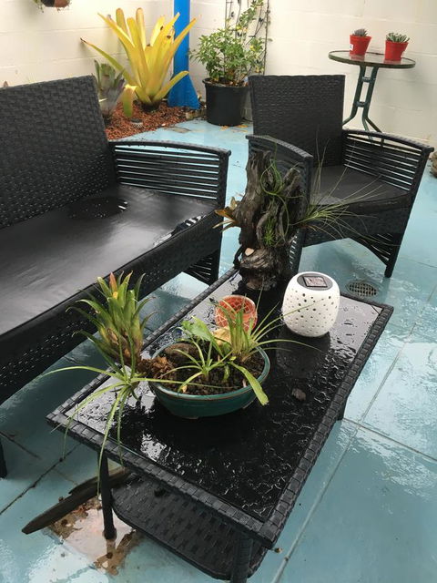 Black Marlin Motel - Accommodation Bookings 3
