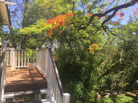 Halcyon On Bardon - Accommodation Bookings 7