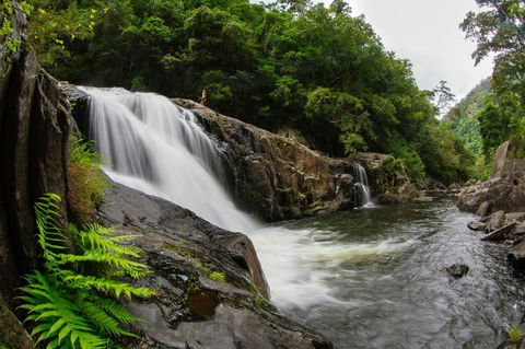 Coral Tree Inn - Accommodation Bookings 40