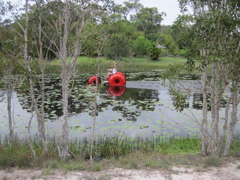 1770 Southern Cross Travellers Retreat - Accommodation Bookings 16