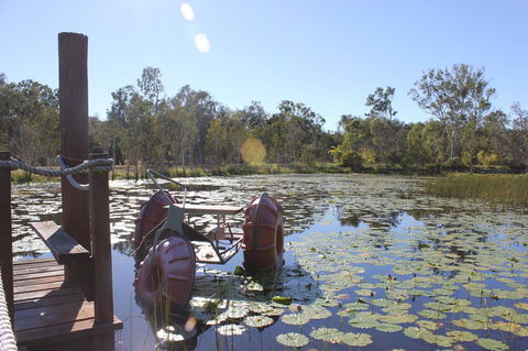 1770 Southern Cross Travellers Retreat - Accommodation Bookings 21