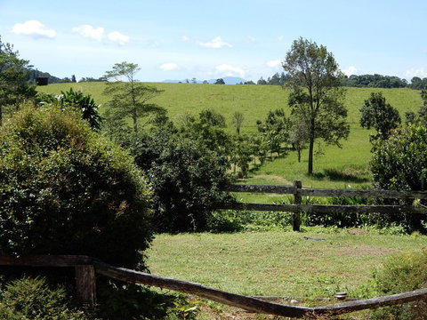 Malanda Manor Guesthouse - Accommodation Bookings 17