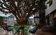 Rydges Fortitude Valley - thumb 21