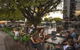 Rydges Fortitude Valley - thumb 22