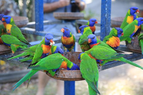 Tasman Holiday Parks - Airlie Beach - Accommodation Bookings 23
