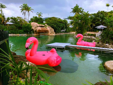 Cairns Colonial Club Resort - Accommodation Bookings 6