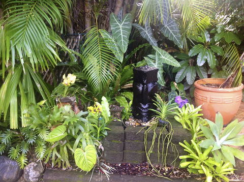 Bluewater Bed & Breakfast Cairns - Accommodation Bookings 16