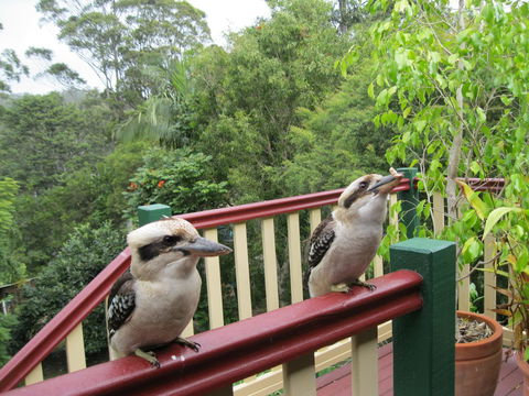 Shasta Place - Accommodation Bookings 12