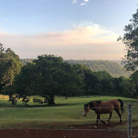 Montville Holiday Apartments - Accommodation Bookings 3