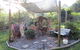 Werekataba - thumb 3