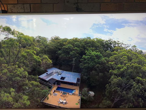 Where The Forest Meets The Sea On The Gold Coast - Accommodation Bookings 1