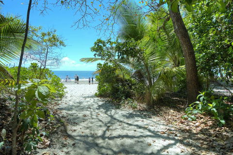 Whispering Palms - Accommodation Bookings 1