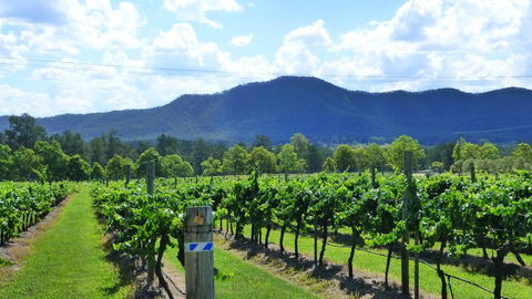 Winmark Wines - Accommodation Bookings 1