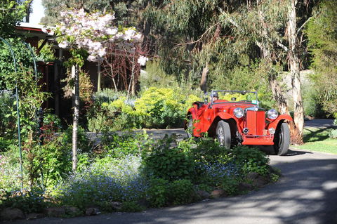 Wintarni Olives Cottage - Accommodation Bookings 1