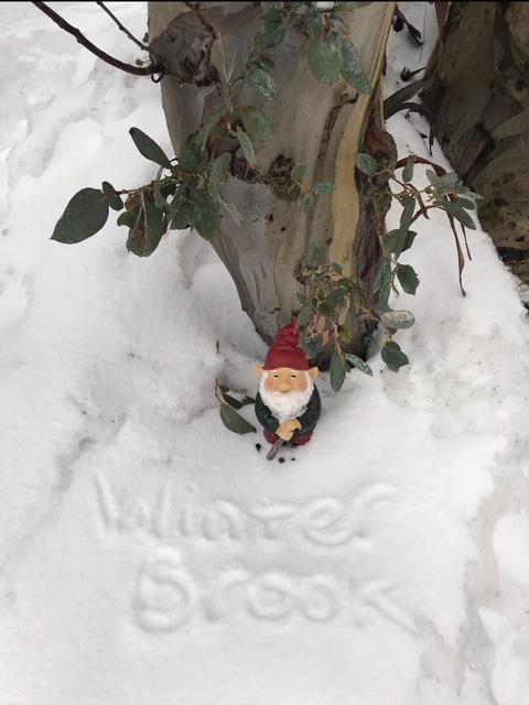 Winterbrook Chalet - Accommodation Bookings 3