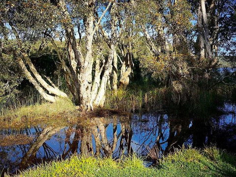 Wisteria Cottage On The Lagoon/Beach - Accommodation Bookings 2