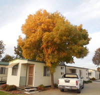 Wodonga Caravan  Cabin Park - Accommodation Bookings