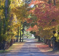 Wombeyan Caves - Accommodation Bookings