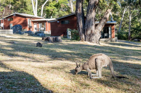 Wonderland Cottages - Accommodation Bookings 1