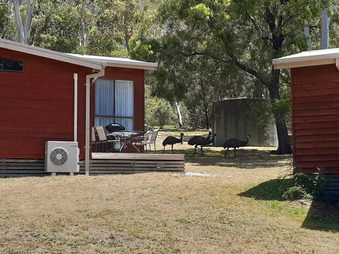 Wonderland Cottages - Accommodation Bookings 3