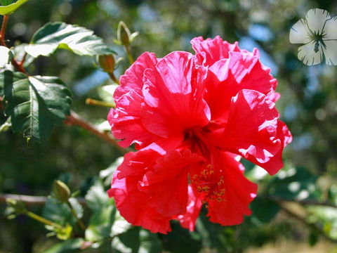 Wongaburra - Accommodation Bookings 1