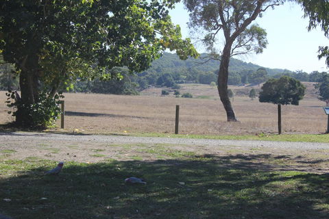 Wonky Stables Holiday Park - Accommodation Bookings 2