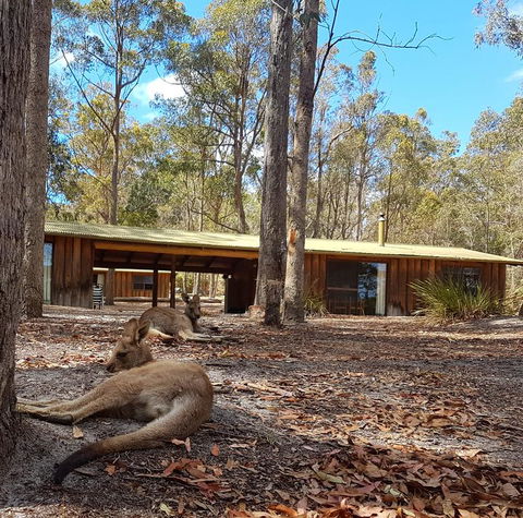 Woodbine Park Eco Cabins - Accommodation Bookings 2