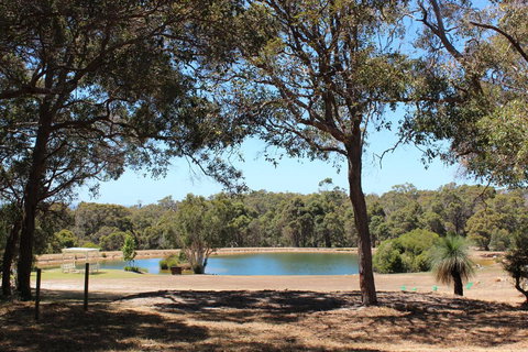 Woodstone Goanna Cottage - Accommodation Bookings 3