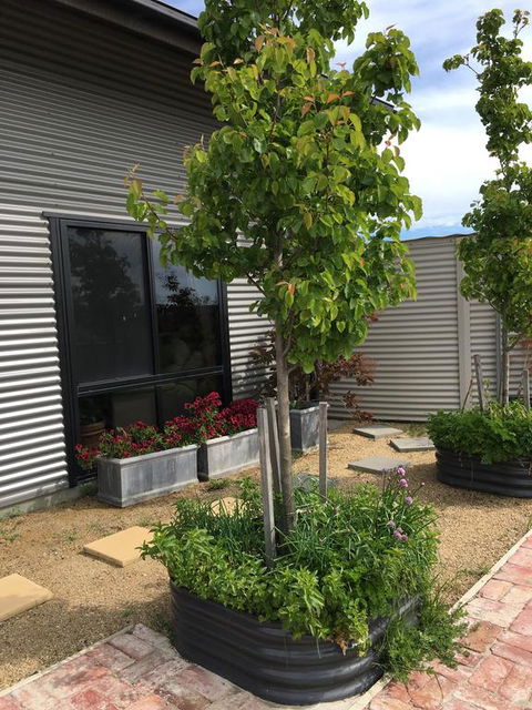 Woolamai Dreaming - Accommodation Bookings 2