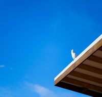 Wye Not Escape - Accommodation Bookings