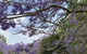 Wyndover Mountain Retreat - thumb 1