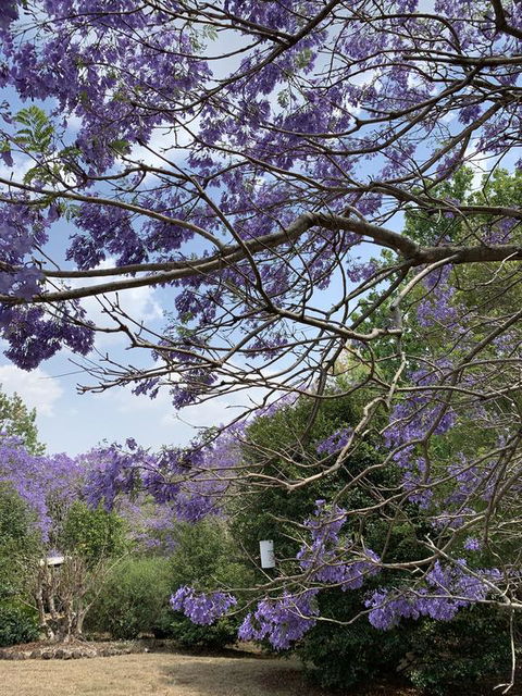 Wyndover Mountain Retreat - Accommodation Bookings 1