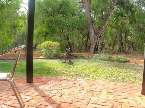 Yallingup Pet Friendly Bush Retreat - Accommodation Bookings 3